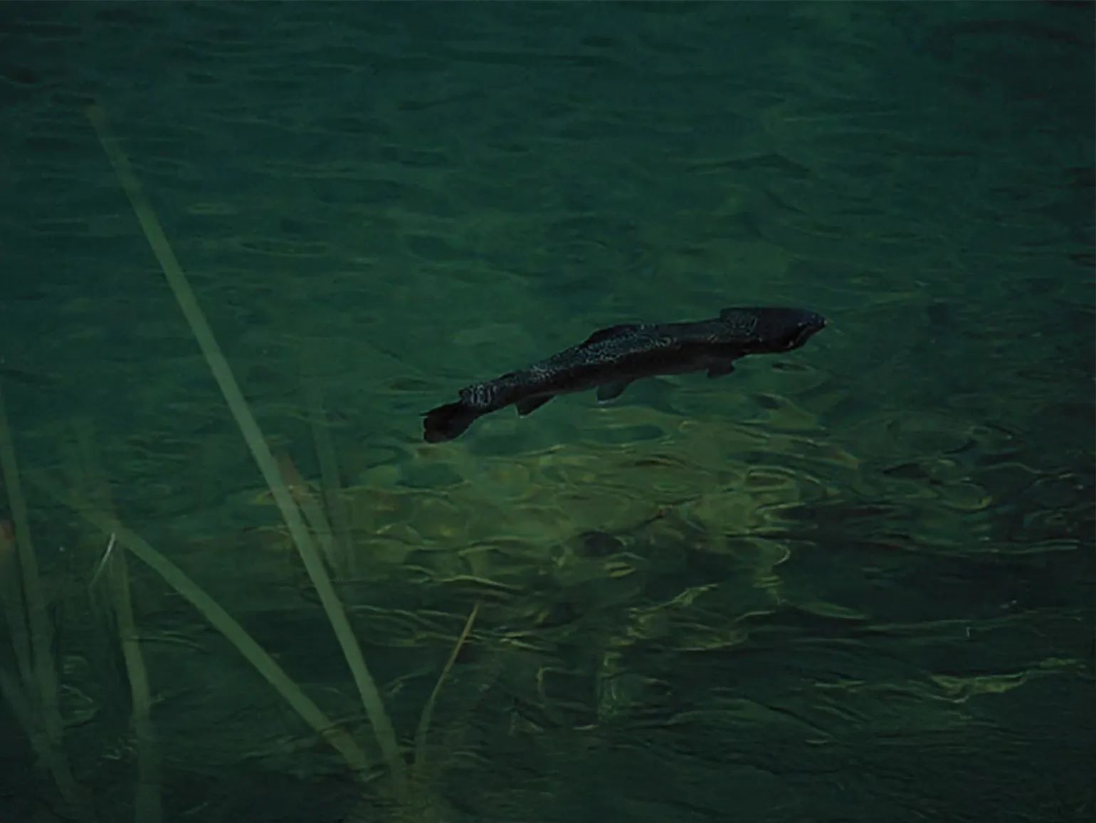 img-1